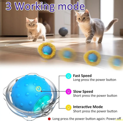 Simple Smart Cat Toy